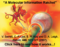 A Molecular Information Ratchet
